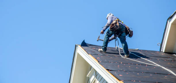 Gutter Installation and Roofing in Linden, TX